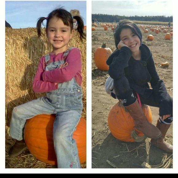 Meet your Posher, Harley - Picture 1 of 1